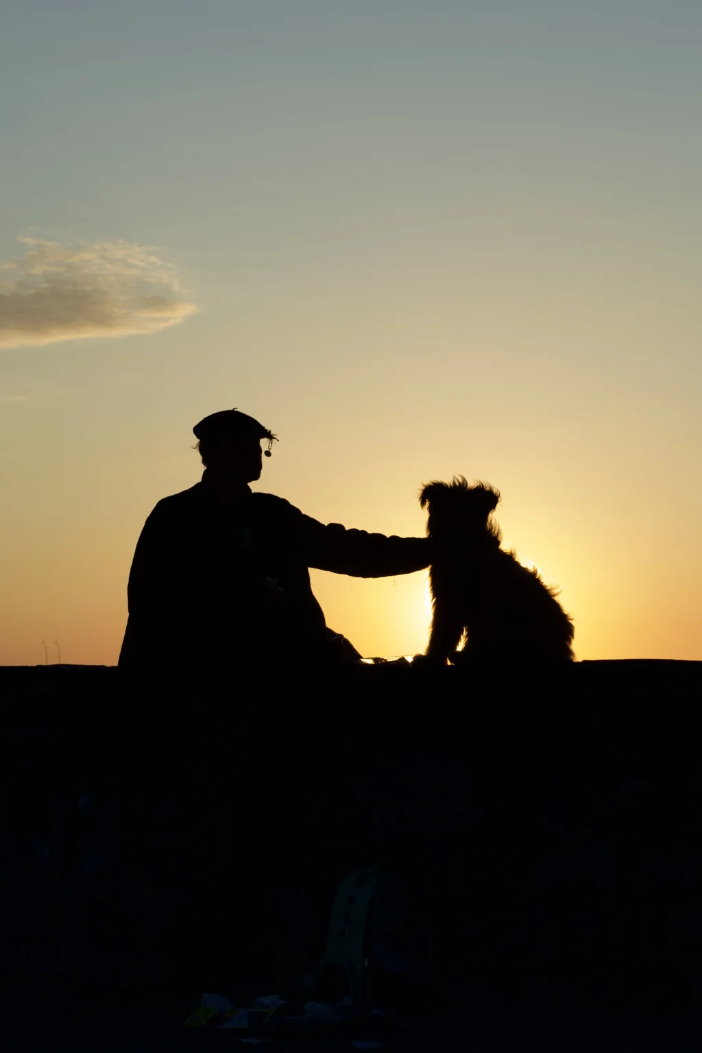 Silhouettes of a person and a dog together at sunset